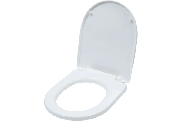 Сиденье для унитаза с микролифтом WS0320P Ани